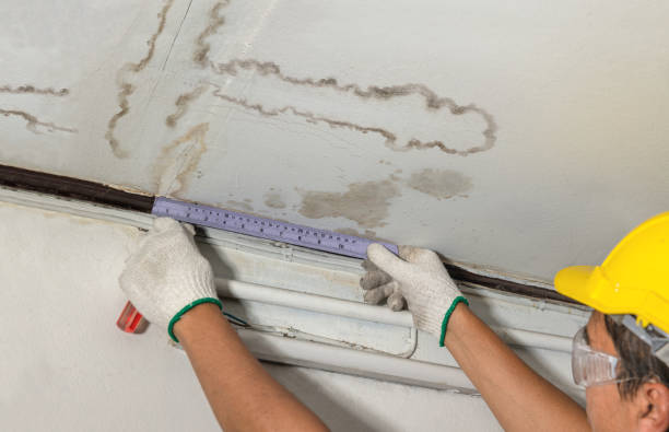 Reliable Burst Pipe Cleanup contractor in Jacksonville, AL by Water Damage Irwin